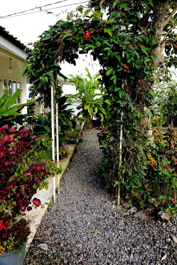 Plantation Luxury Mountain Escape *