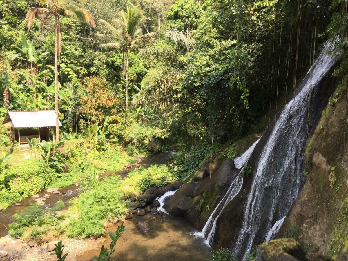 Ferienhaus Plantation Luxury Mountain Escape Bedugul (Bali)