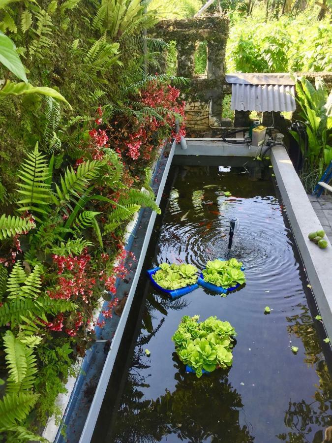 Plantation Luxury Mountain Escape Ferienhaus