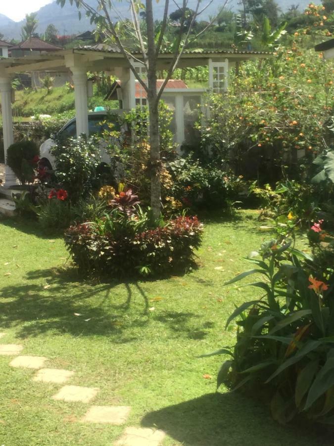 Plantation Luxury Mountain Escape