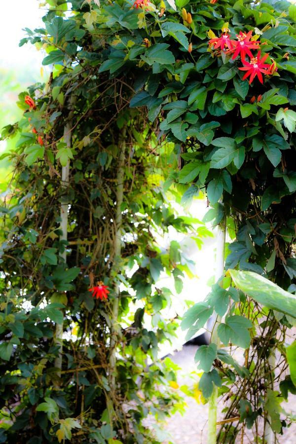 Ferienhaus Plantation Luxury Mountain Escape Bedugul (Bali)