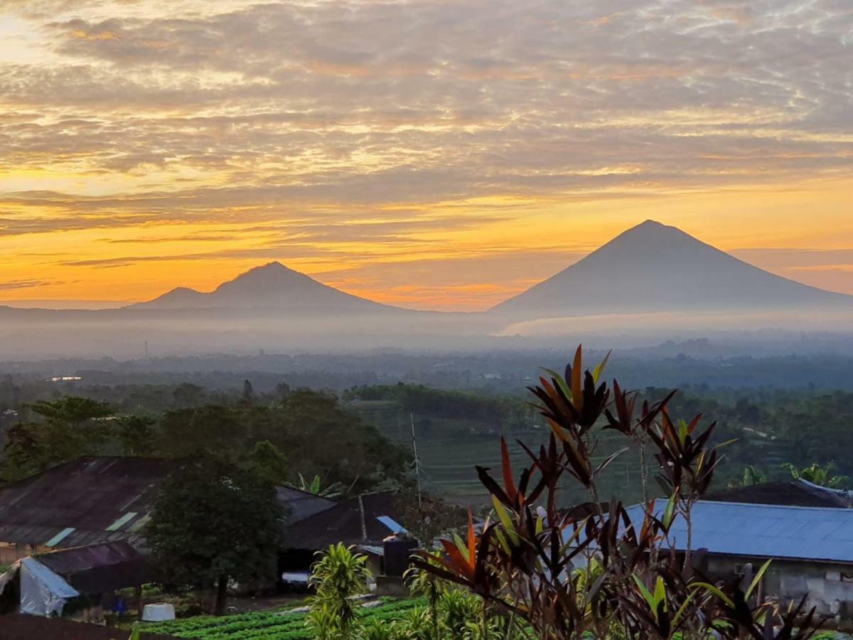 Plantation Luxury Mountain Escape *