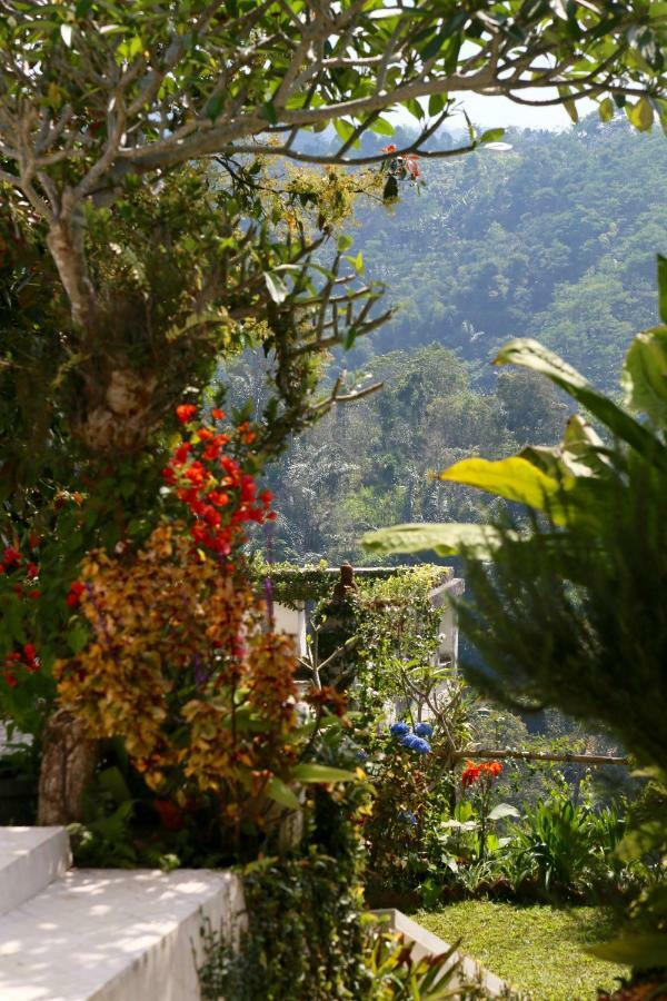 Ferienhaus Plantation Luxury Mountain Escape *