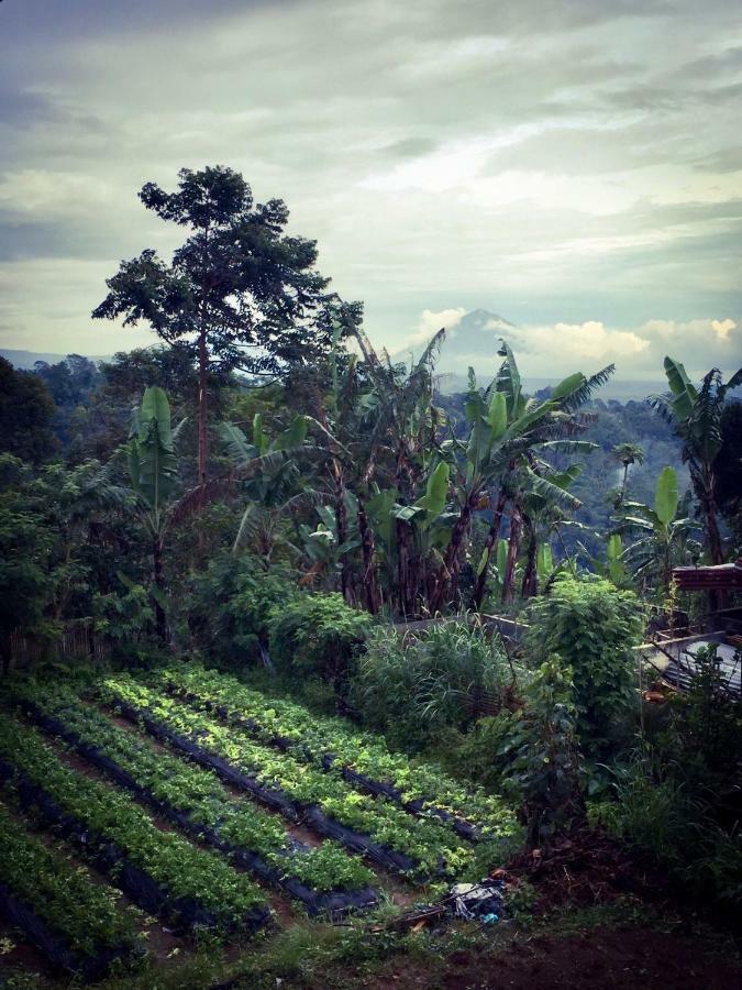 Plantation Luxury Mountain Escape Ferienhaus Bedugul (Bali)
