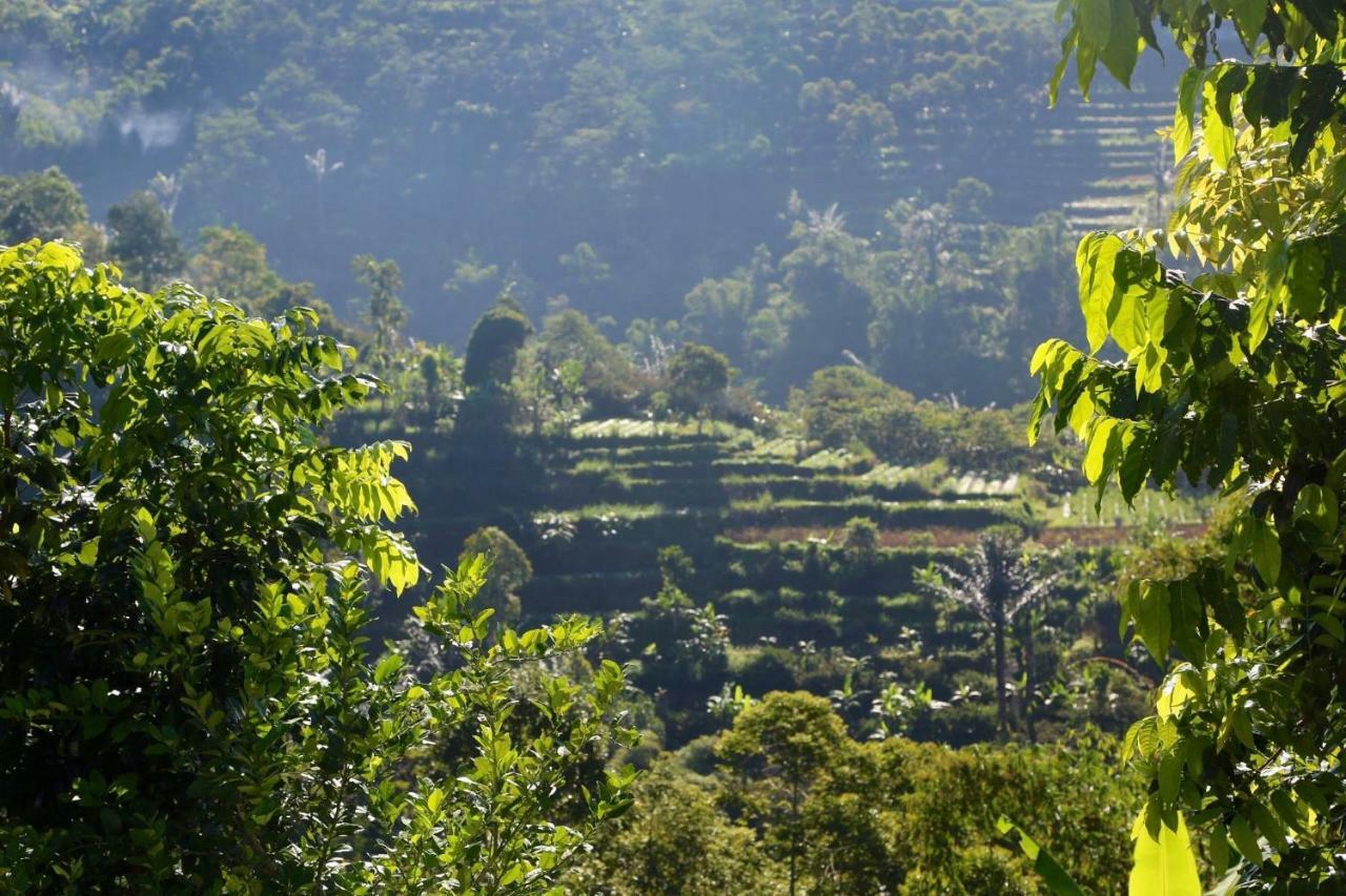 Plantation Luxury Mountain Escape *