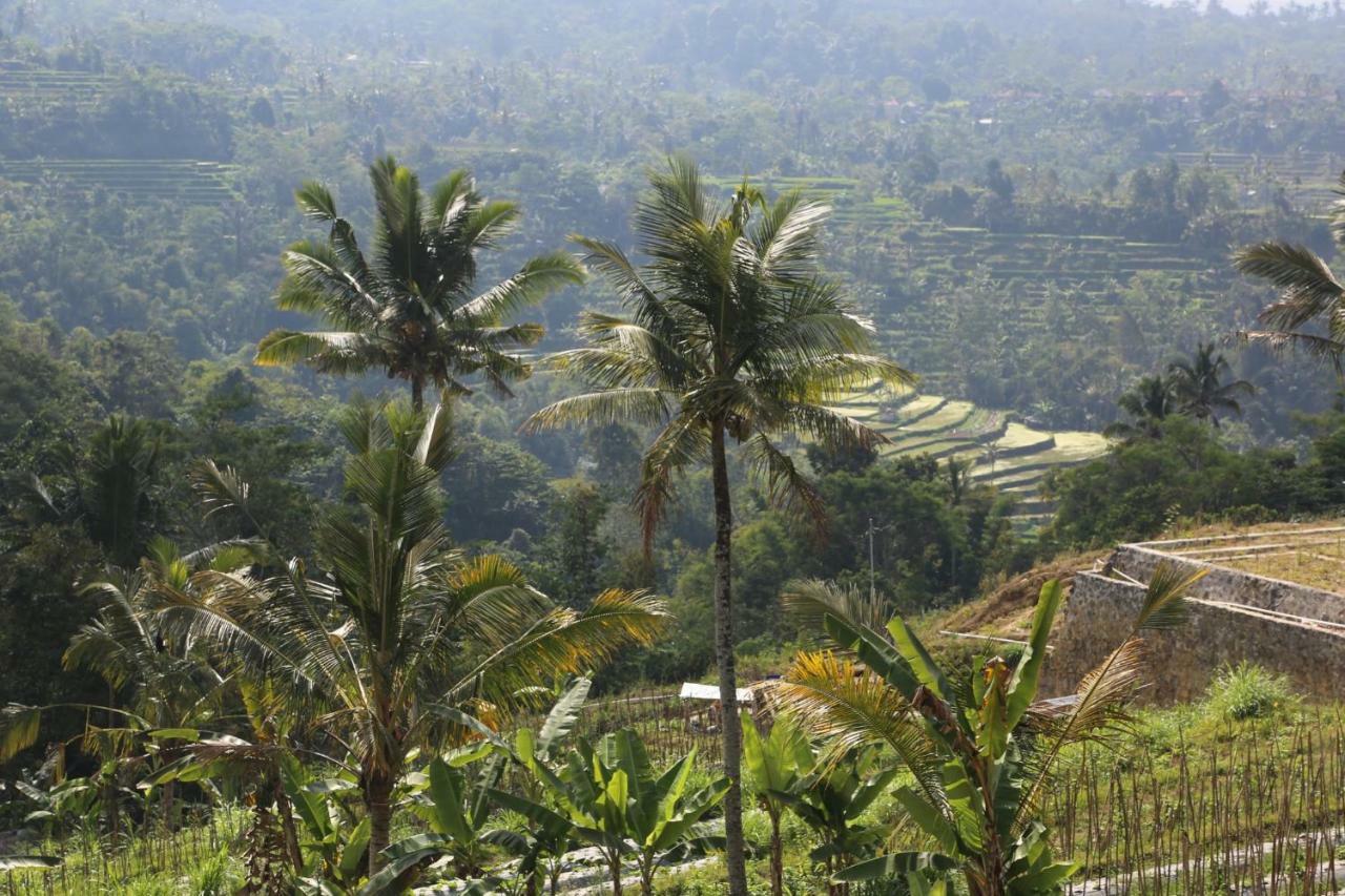 Plantation Luxury Mountain Escape *