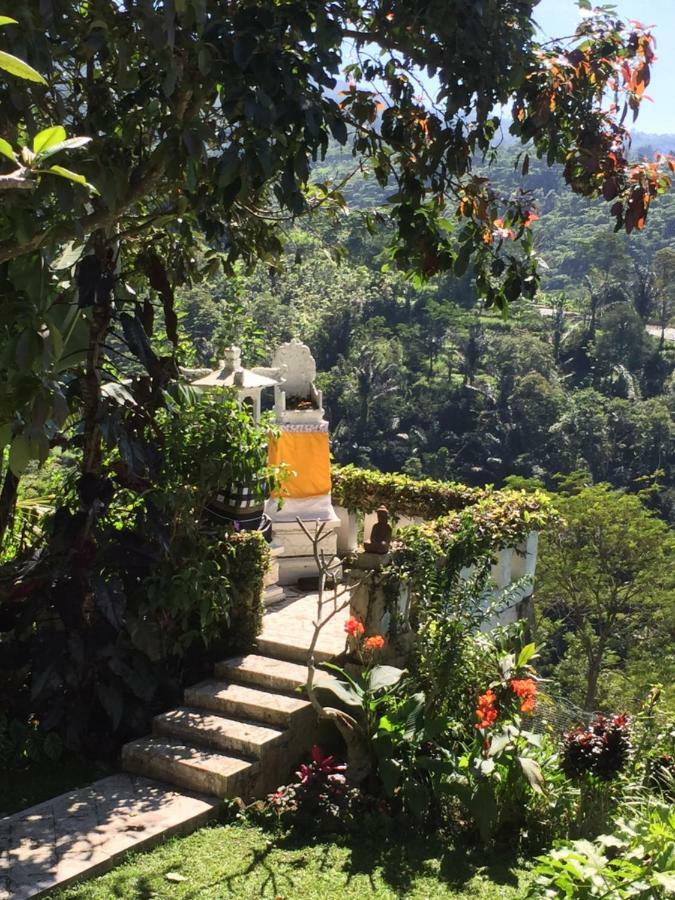 Plantation Luxury Mountain Escape Hébergement de vacances *