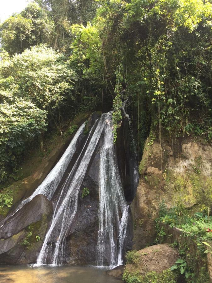Plantation Luxury Mountain Escape Hébergement de vacances *