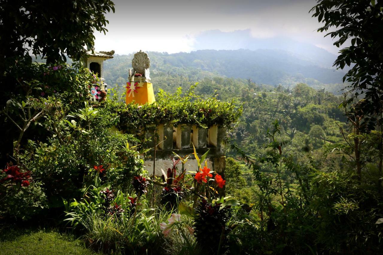 Plantation Luxury Mountain Escape *